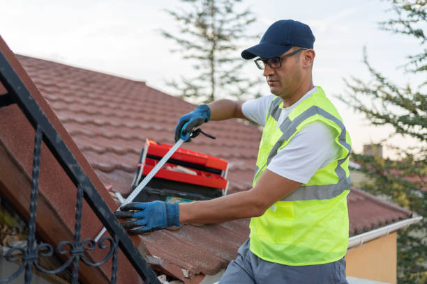 Best Attic Insulation Installation  in The Plains, OH